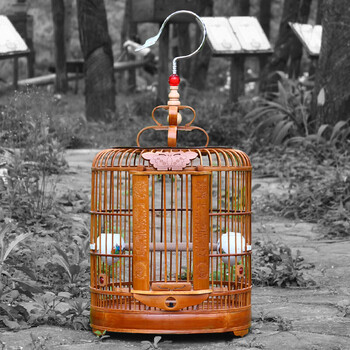 创意礼品 画眉八哥鸟笼 竹子老料四川笼云南贵鸟笼竹制竹青大号八哥