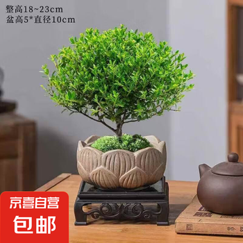 紫檀木盆栽品牌及商品- 京东