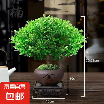 拍子木　特上紫檀　８寸(24cm) O1CN01CeBM1R1nfdcSz5oPT_!!