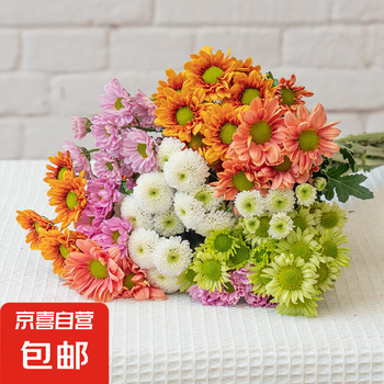 鲜花小雏菊价格报价行情- 京东