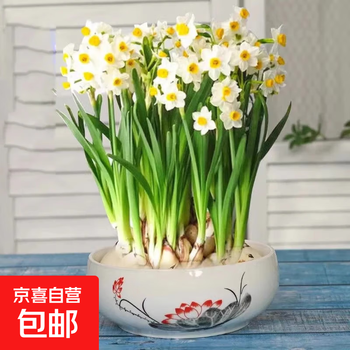 水仙花 楽天市場】[最短出荷]日本水仙【造花】4輪付 全長約34cm(花径約