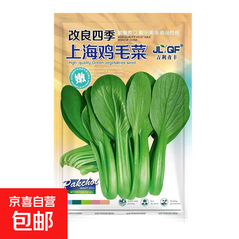 鸡毛菜苗　上海青 菜苗 ミニ青梗菜の苗　食用　ネコポスいっぱい 鸡毛菜苗上海青 菜苗 ミニ青梗菜の苗食用ネコポスいっぱい