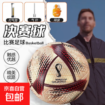 世界杯5号足球价格报价行情- 京东