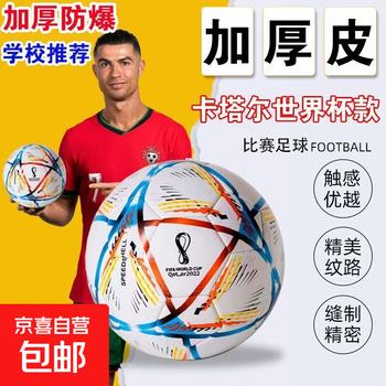世界杯5号足球价格报价行情- 京东