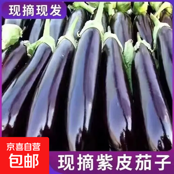 自然之星茄瓜价格报价行情- 京东