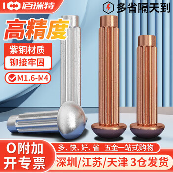 铝标牌铆钉滚花紫铜铭牌商标实心铆钉 304不锈钢半圆头铆钉GB827 M2*4【200粒】紫铜