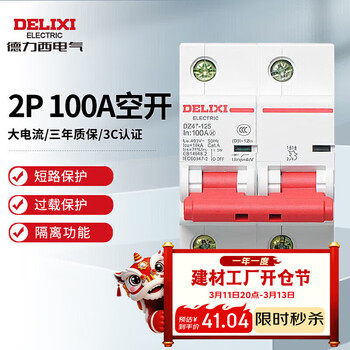 德力西电气空开微型断路器空气开关家用DZ47-125 2P 100A