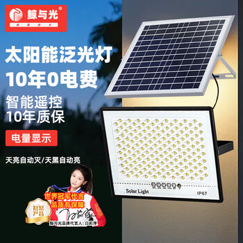 鲸与光太阳能户外照明灯防水室外天黑自动亮灯防雨新款led市政光伏一拖一分体式路灯超长续航超亮投光灯 满天星-600