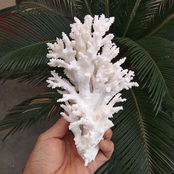 白珊瑚树 水族鱼缸造景装饰 创意设计拍摄道具 20-21厘米
