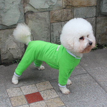 衣服夏装薄款小狗小型犬泰迪比熊夏季四脚衣夏天宠物狗服饰夏 浅绿色