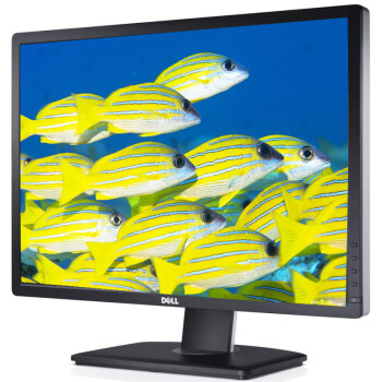 
                                                            戴尔（DELL）24英寸16:10屏幕比例旋转升降IPS屏个人商务 电脑显示器(U2412M)                