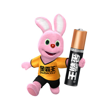 金霸王 （Duracell）7号碱性电池 干电池 20粒装