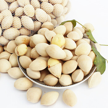 白果 银杏果 白果仁 又名开心果子 银杏子 新鲜蔬菜 徐州邳州特产