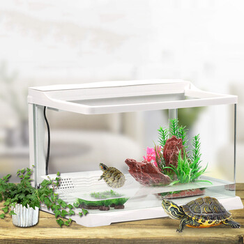 饲养缸水陆缸超白玻璃小型客厅鱼缸中小型巴西龟缸草龟生态养龟盆龟缸