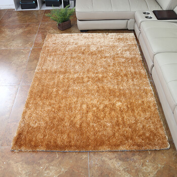 地毯地垫色丝客厅茶几沙发垫子长方形门垫飘窗地毯满铺 香槟色 1.