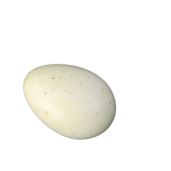 仿真鸡蛋鹅蛋鸭蛋鸵鸟蛋恐龙蛋鹌鹑蛋巨蛋假鸡蛋模型橱窗摄影道具