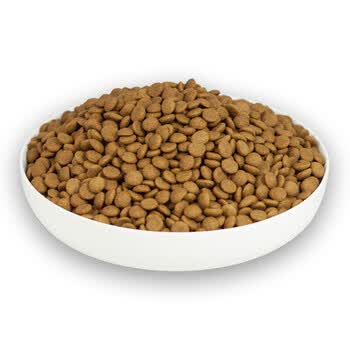 狗粮 美毛去泪腺 全犬期成幼犬天然宠物粮100克 100g 试吃装【图片
