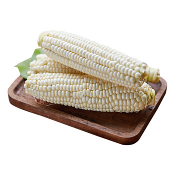 【京山馆】冰糖牛奶玉米2-2.