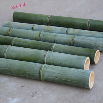 新鲜楠竹竹筒高山野生老毛竹楠竹孟宗竹竹枕竹杯竹器竹子原材料 大号