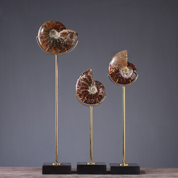 欧式现代鹦鹉螺化石装饰品摆件创意客厅酒店软装饰金属工艺品摆设