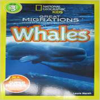 NGR GM WHALES