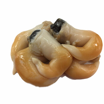 威海新鲜鸟贝黄鸟贝肉鲜活鸟贝刺身鸟贝鲜贝肉当天现剥海鲜刺身500g