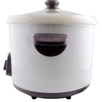
                                        天际(TONZE)DDG-W340N电炖锅煲汤锅4L                