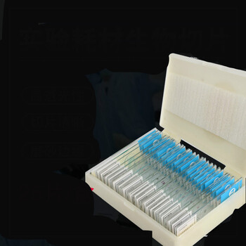 25片生物切片(皖南牌)显微镜标本实验玻片装片细胞载