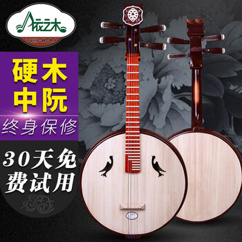 中国　中阮 中阮Zhongruan - YouTube