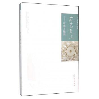 苏艺天工:蒋喜玉雕展