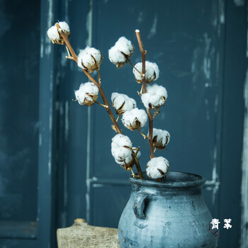 树枝】天然进口棉花花束客厅装饰插花禅意干花干枝拍照摆设 棉花树枝