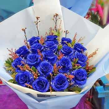 全国同城鲜花速递红玫瑰花束北京上海杭州广州深圳送花 19朵蓝色妖姬