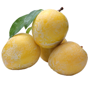 黄金奈李爽脆脱骨李子黄布林恐龙蛋绿色新鲜孕妇水果 2.5kg