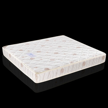 天然全山棕垫软硬棕垫大床垫自然环保无胶0甲醛可折叠拆洗 10cm软棕