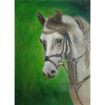 麦麦家朝鲜画爽夏畅拍专场