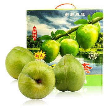 富昌【古田馆】福建古田特产油柰 李子 青布林 脱骨李子 现摘新鲜水果