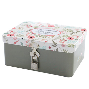 门扉 带锁收纳盒 小清新带锁马口铁收纳小铁盒桌面收纳整理储物盒铁盒