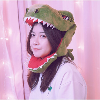火少女心爆棚的生日礼物走心粉色抖音同款手工搞怪韩国创意 恐龙头套
