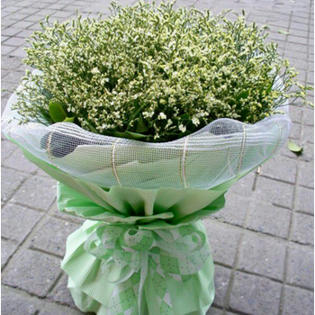 岳阳鲜花桔梗小雏菊鲜花礼盒花束临湘汨罗华容鲜花速递同城送 水晶草