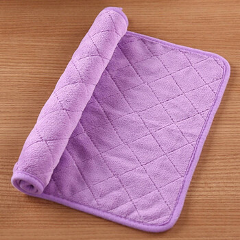 双层加厚珊瑚绒紫色