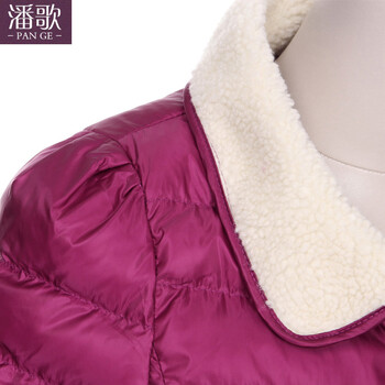 潘歌 2015新款秋冬大码百搭棉衣短外套 女 HY300 紫色 L(建议95-105斤)