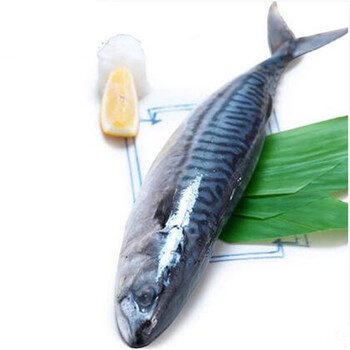 臻乐庄园冷冻青花鱼1kg 2 3条装鲐鲅鱼 图片价格品牌报价 京东