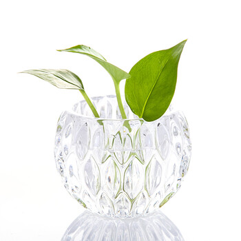 简约水培植物容器小清新透明水晶玻璃瓶花盆客厅装饰品小花瓶摆件