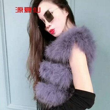 源夏仙    2015秋冬韩版新款毛流苏女款修身皮草毛马甲D 紫灰色 均码