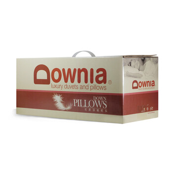 Downia 鸭绒枕 四季同款定制家庭款羽绒小枕（五星级酒店枕） 家庭常规款四季偏软鸭绒小枕1只 送枕套 48cm*74cm