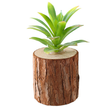 仿真植物挂件餐厅墙上墙面装饰品创意墙饰童装店墙壁挂饰 宝莲木桩