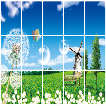 
                                        豆豆窝 可移除墙贴画厨房防油贴 3026 蒲公英 45*70cm                