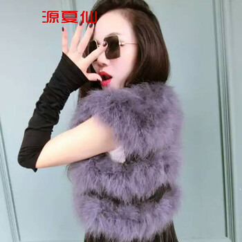 源夏仙    2015秋冬韩版新款毛流苏女款修身皮草毛马甲D 紫灰色 均码