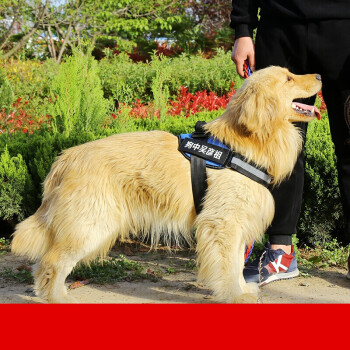 繩子哈士奇項圈狗鏈子中大型犬寵物用品 防衝玫紅色 彈簧繩(送四張