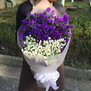 紫色勿忘我满天星花束 全区鲜花速递苏州鲜花店生日爱情祝福鲜花